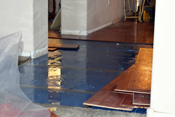 Professional Water Damage Restoration technician working in Winthrop, IA